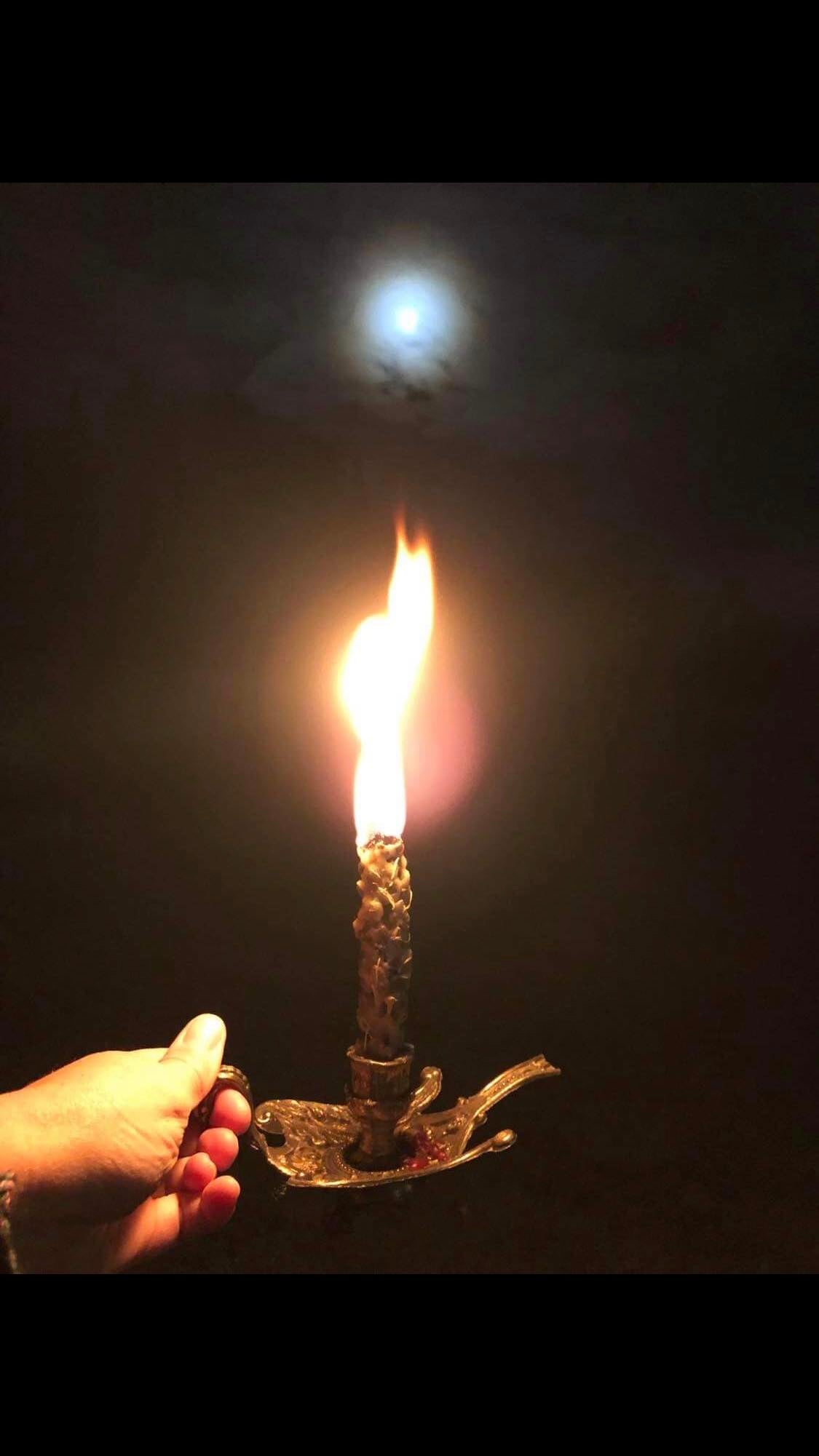 Witches Candle - Mullein Torch