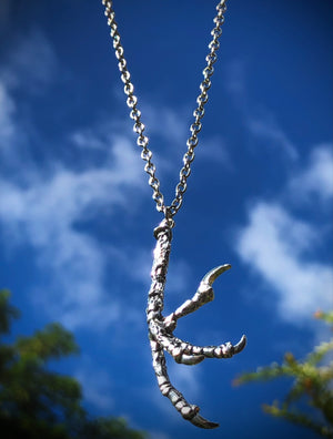 Open image in slideshow, RavenClaw Necklace
